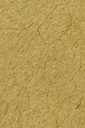Enjou - Genshin Impact - 10 zł - 5 cm